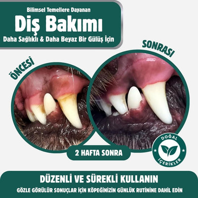PawVitaPet Köpekler İçin %100 Doğal Diş Temizleme Tozu - Kötü Koku & Plak Kontrolü