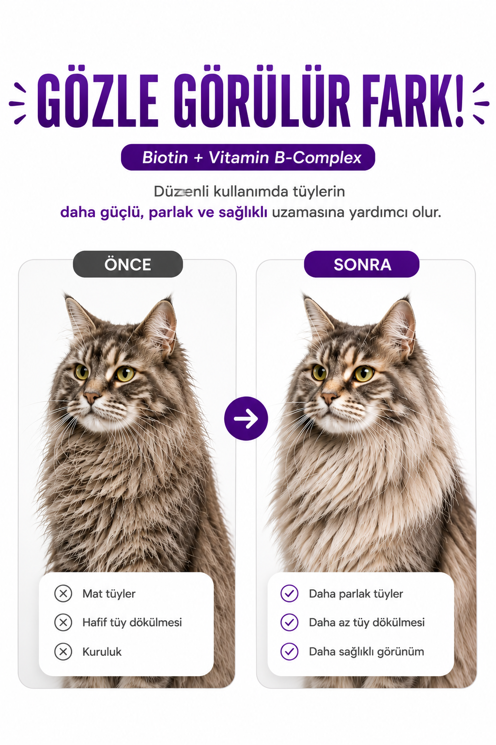 PawVitaPet Kediler İçin Deri & Tüy Sağlığını Destekleyici Biotin & B-Complex Sıvı Damla (50 ml)