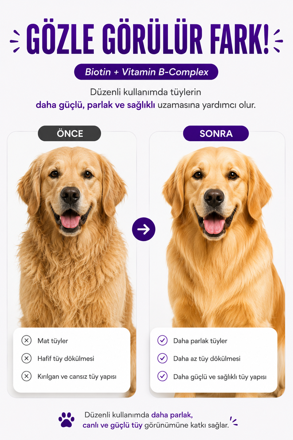 PawVitaPet Köpekler İçin Deri & Tüy Sağlığını Destekleyici Biotin & B-Complex Sıvı Damla (50 ml)