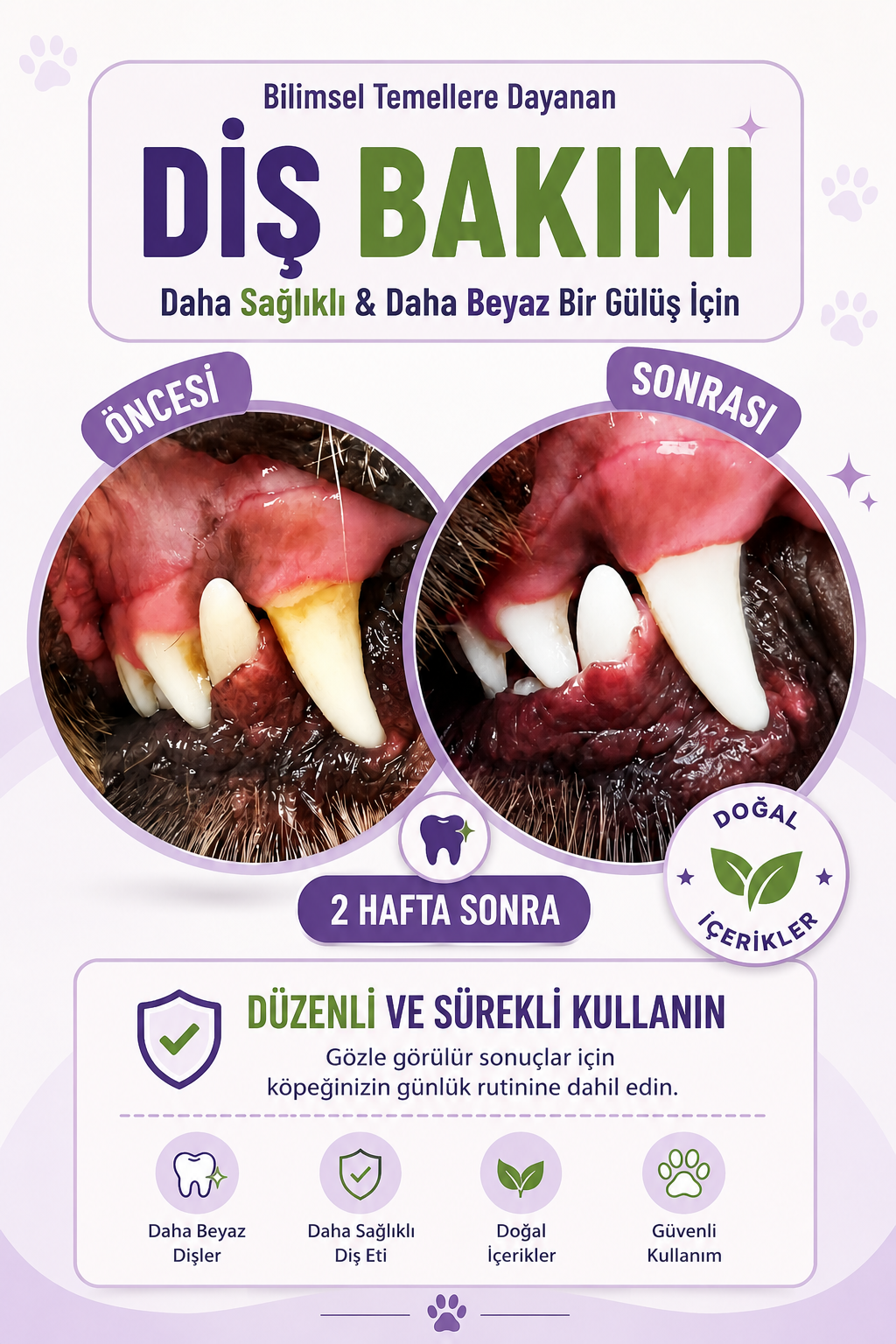 PawVitaPet Köpekler İçin %100 Doğal Diş Temizleme Tozu - Kötü Koku & Plak Kontrolü