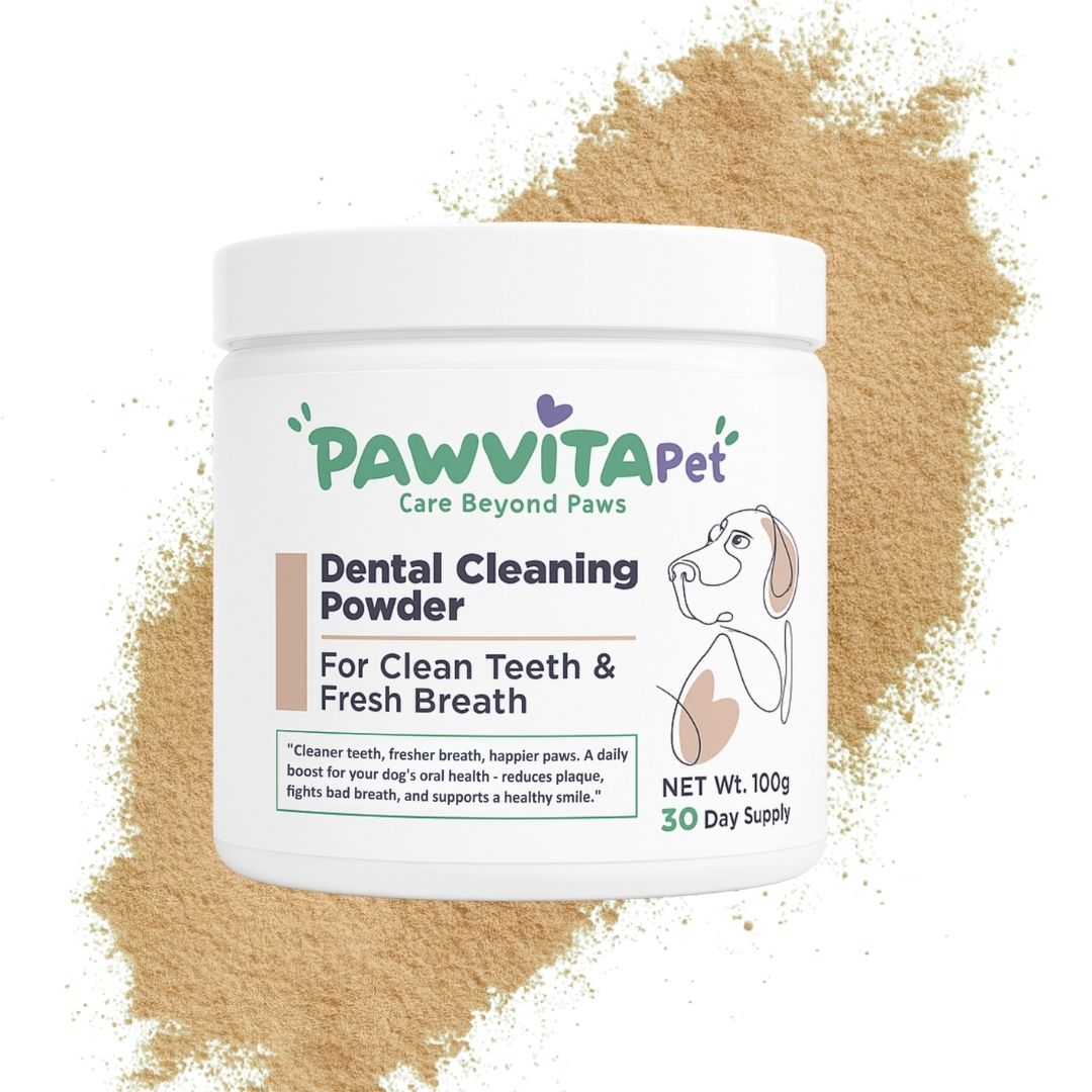 PawVitaPet Köpek Bakım Seti, Diş Sağlığı - Deri & Tüy Desteği - Omega Gücü Hepsi Bir Arada Günlük Tam Bakım Paketi 🐾