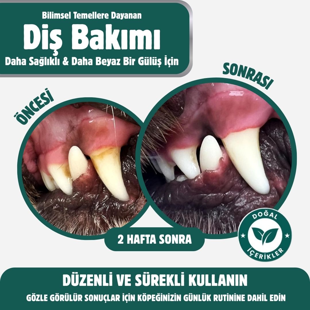 PawVitaPet Köpekler İçin %100 Doğal Diş Temizleme Tozu - Kötü Koku & Plak Kontrolü