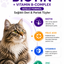 PawVitaPet Kediler İçin Deri & Tüy Sağlığını Destekleyici Biotin & B-Complex Sıvı Damla (50 ml)