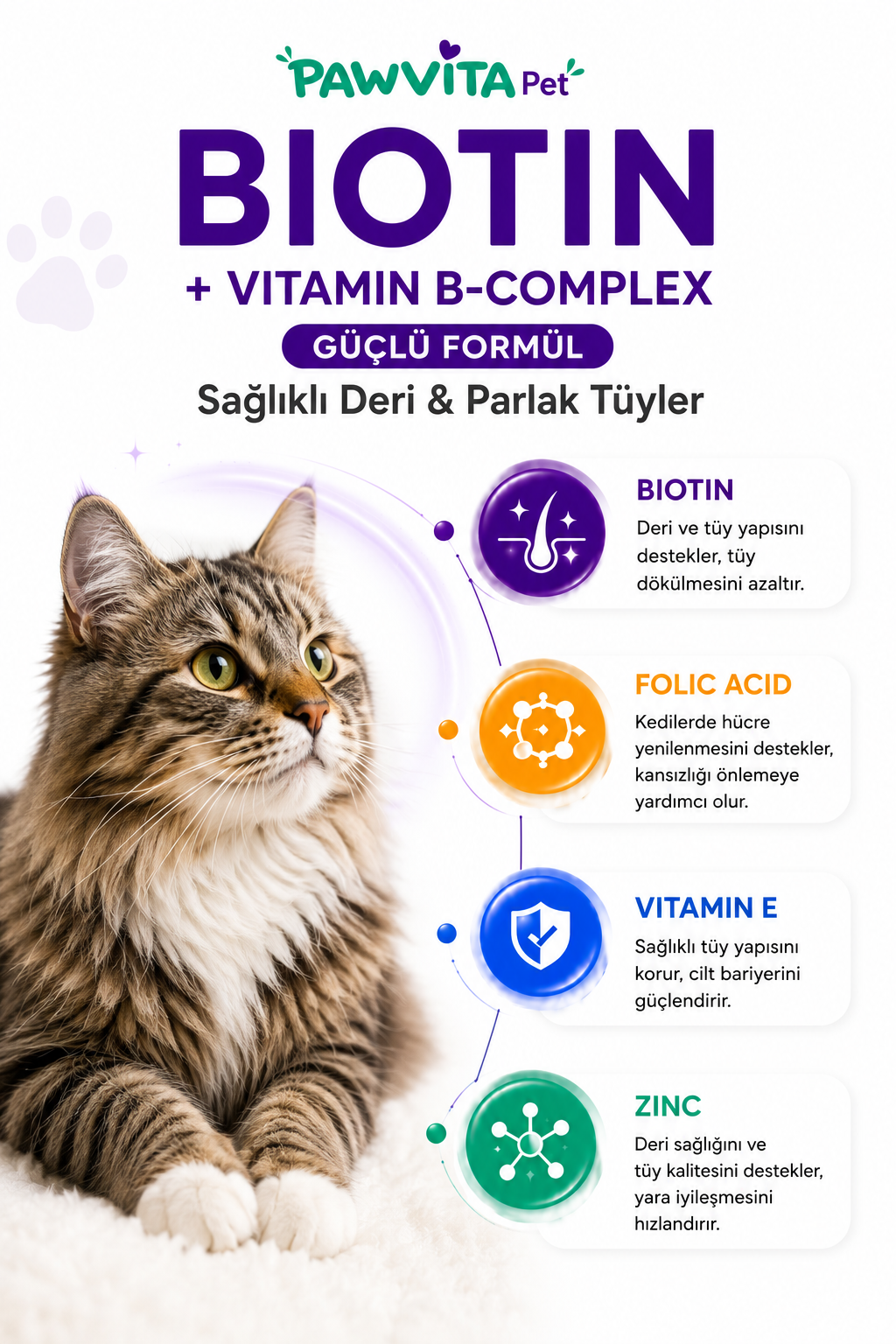 PawVitaPet Kediler İçin Deri & Tüy Sağlığını Destekleyici Biotin & B-Complex Sıvı Damla (50 ml)