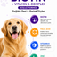 PawVitaPet Köpekler İçin Deri & Tüy Sağlığını Destekleyici Biotin & B-Complex Sıvı Damla (50 ml)