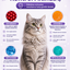 PawVitaPet Kedi Malt Macunu – Tüy Dökülmesini Azaltan, Tüy Yumağı ve Kusma Önleyici Multivitamin Takviyesi (100 gr)