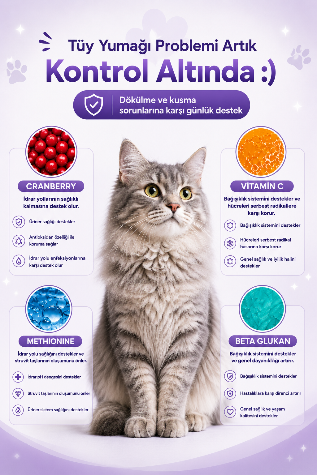 PawVitaPet Kedi Malt Macunu – Tüy Dökülmesini Azaltan, Tüy Yumağı ve Kusma Önleyici Multivitamin Takviyesi (100 gr)