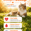 PawVitaPet Kediler İçin Somon Yağı Omega 3-6 (EPA & DHA) – 200 ml