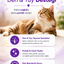 PawVitaPet Kediler İçin Deri & Tüy Sağlığını Destekleyici Biotin & B-Complex Sıvı Damla (50 ml)