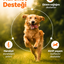 PawVitaPet Köpekler İçin Somon Yağı Omega 3-6 (EPA & DHA) – 200 ml