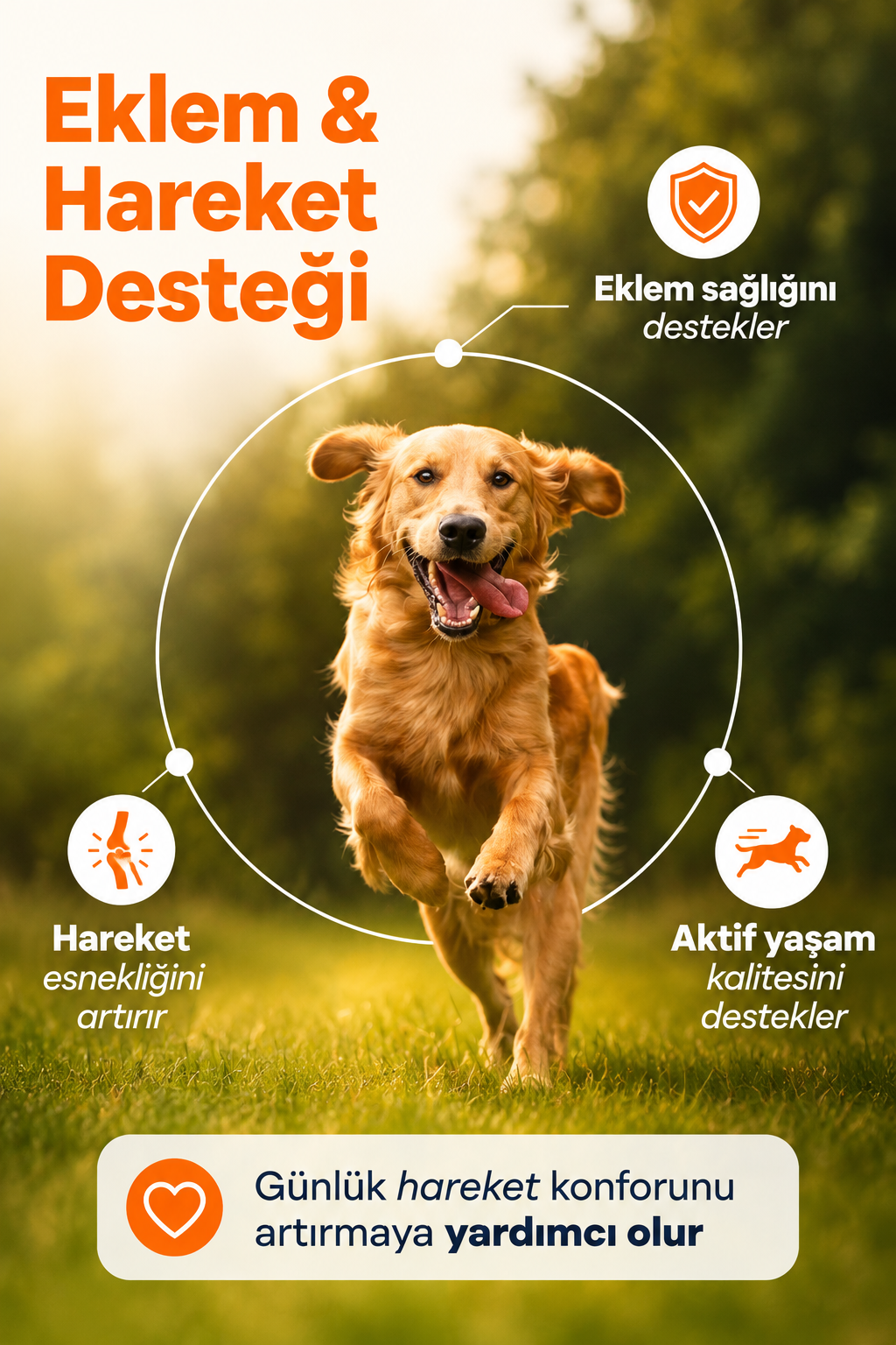 PawVitaPet Köpekler İçin Somon Yağı Omega 3-6 (EPA & DHA) – 200 ml