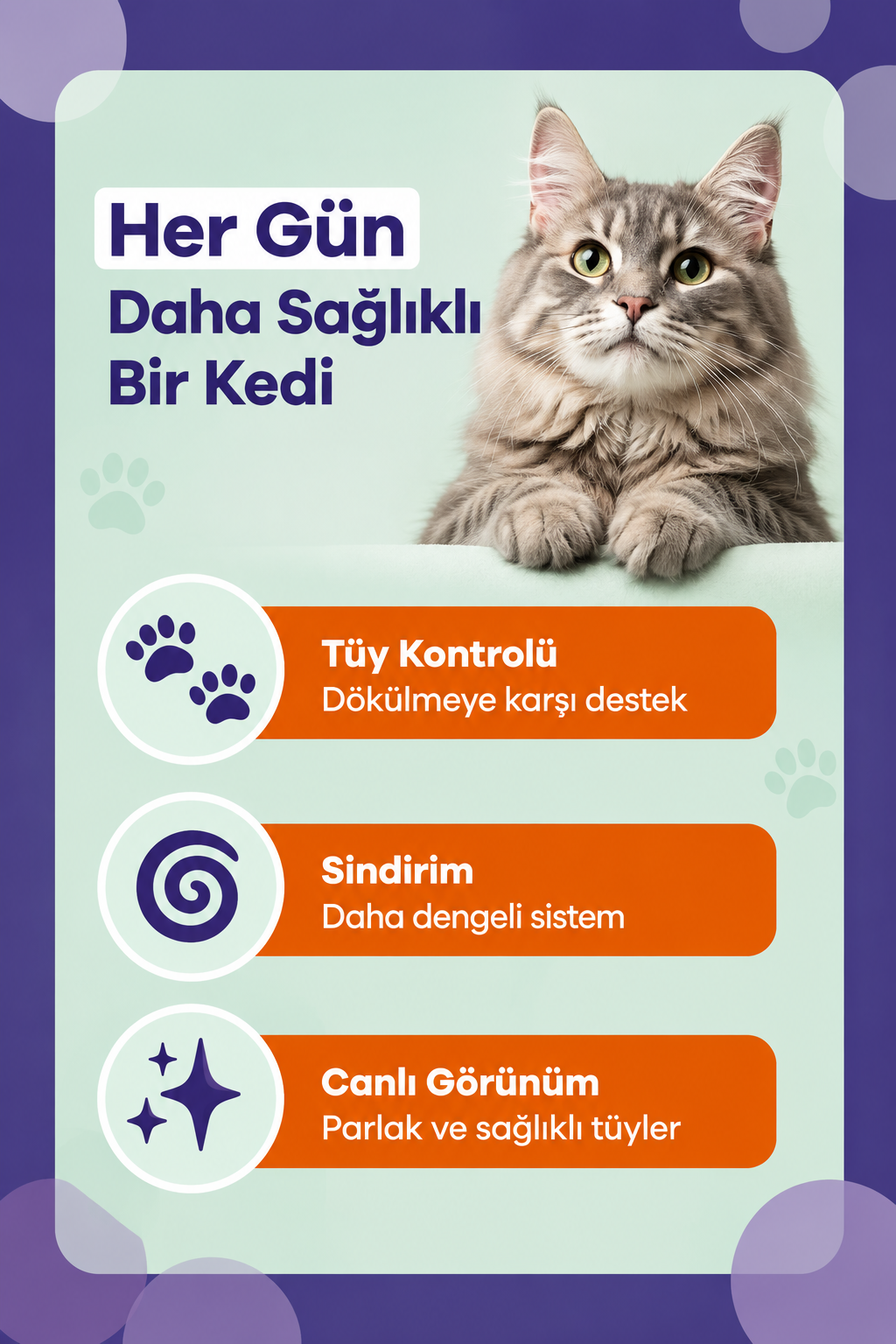 PawVitaPet Kedi Malt Macunu – Tüy Dökülmesini Azaltan, Tüy Yumağı ve Kusma Önleyici Multivitamin Takviyesi (100 gr)