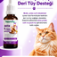 PawVitaPet Kediler İçin Deri & Tüy Sağlığını Destekleyici Biotin & B-Complex Sıvı Damla (50 ml)