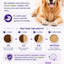 PawVitaPet Köpekler İçin %100 Doğal Diş Temizleme Tozu - Kötü Koku & Plak Kontrolü