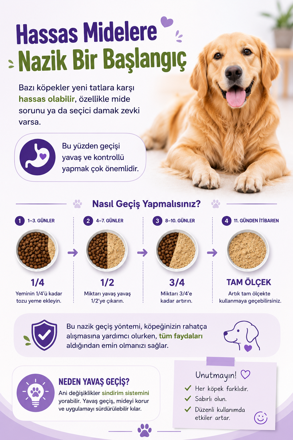 PawVitaPet Köpekler İçin %100 Doğal Diş Temizleme Tozu - Kötü Koku & Plak Kontrolü