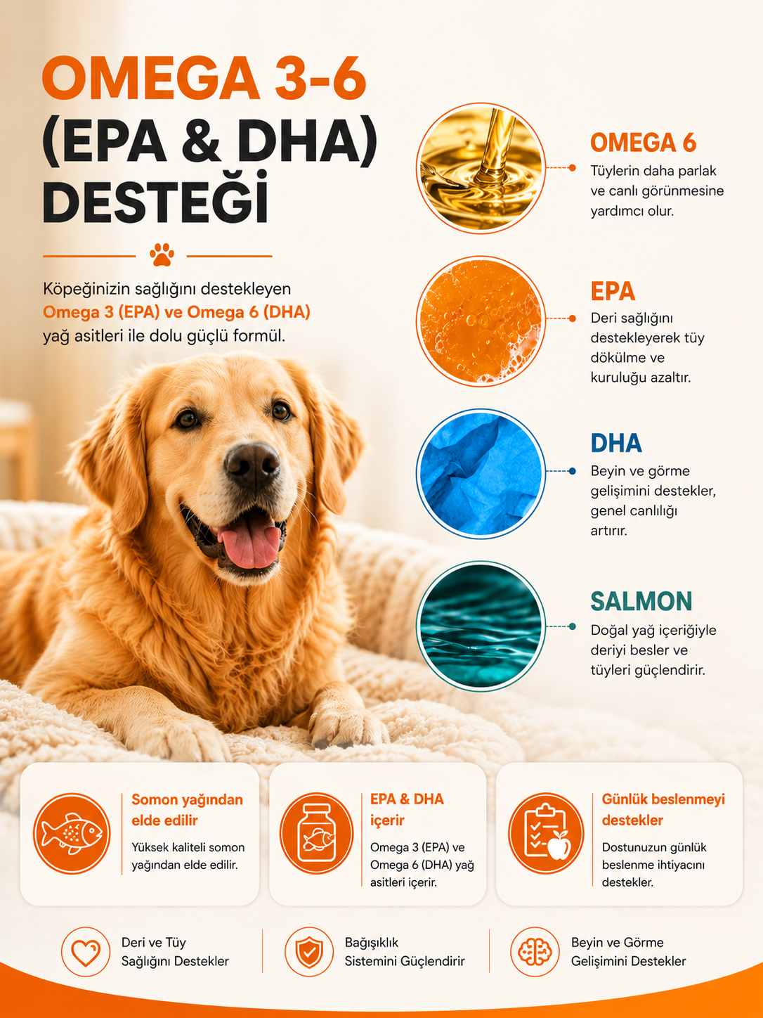 PawVitaPet Köpekler İçin Somon Yağı Omega 3-6 (EPA & DHA) – 200 ml