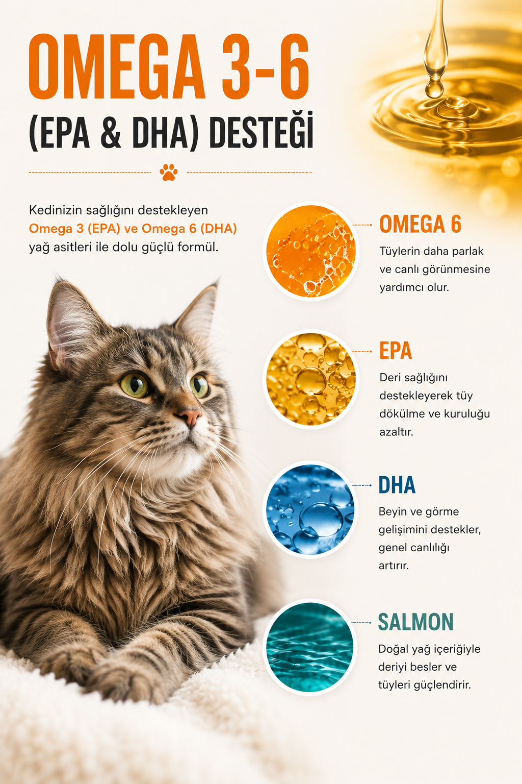 PawVitaPet Kediler İçin Somon Yağı Omega 3-6 (EPA & DHA) – 200 ml