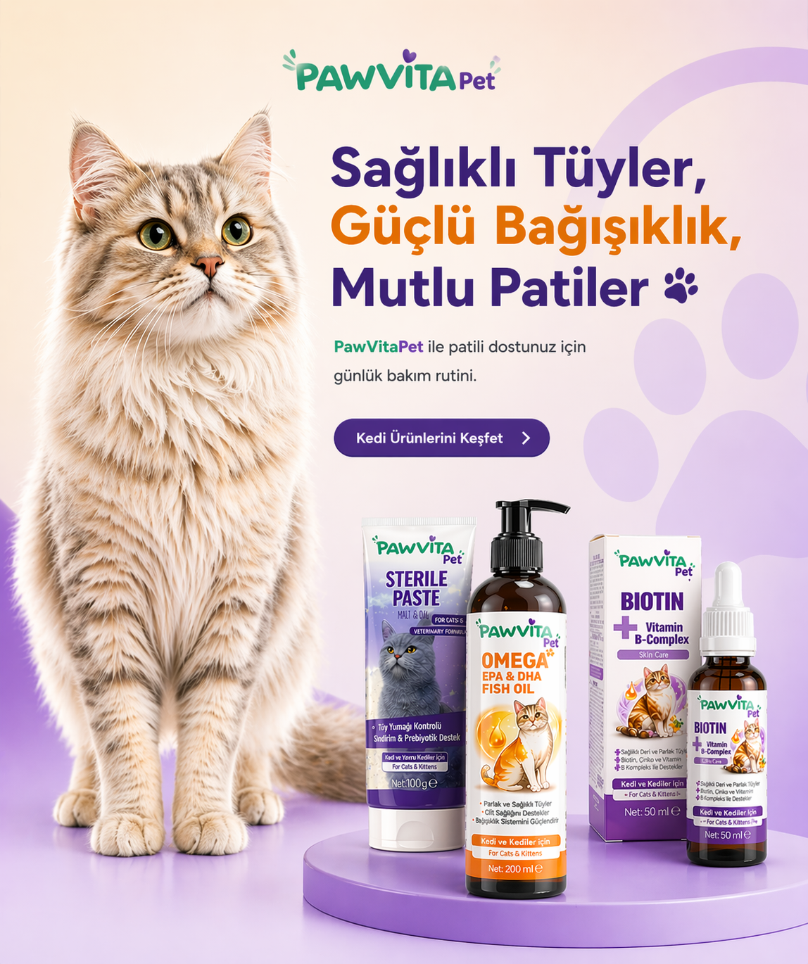 Kediler İçin
